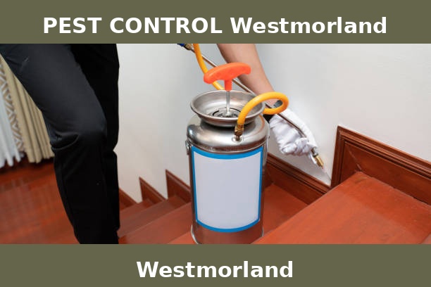 PEST CONTROL Westmorland